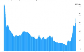 Polysilicon prices from Bloomberg and PVInfoLink