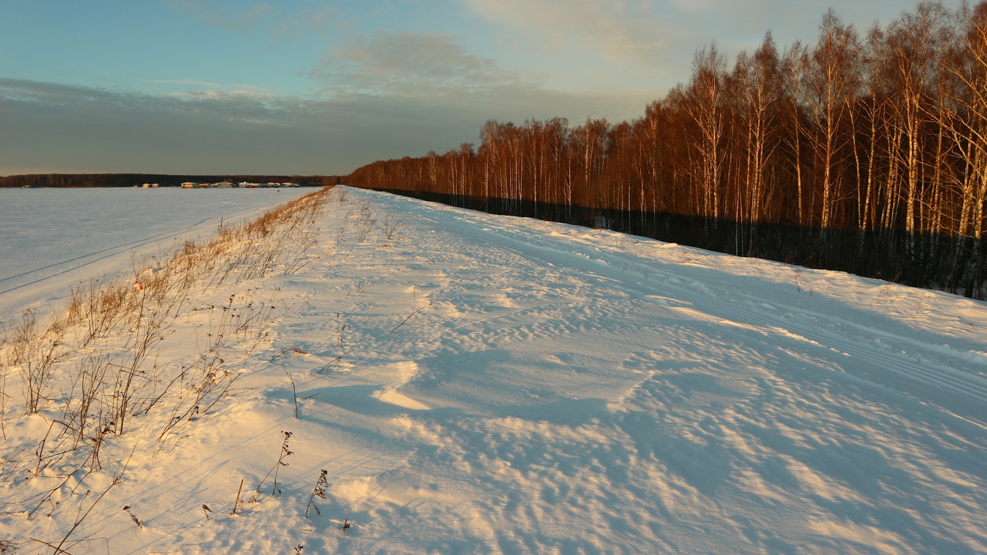 UnsplashのAlexander Bが撮影した写真
