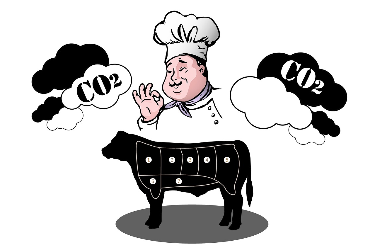 Image by Gerd Altmann from Pixabay