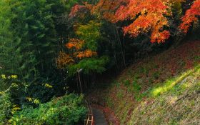 UnsplashのHat Trickが撮影した写真