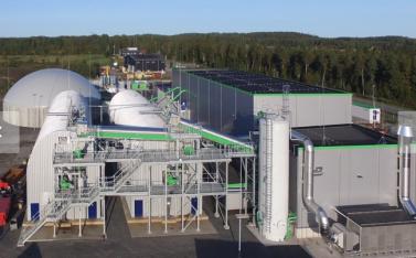 A picture containing building, green

Description automatically generated