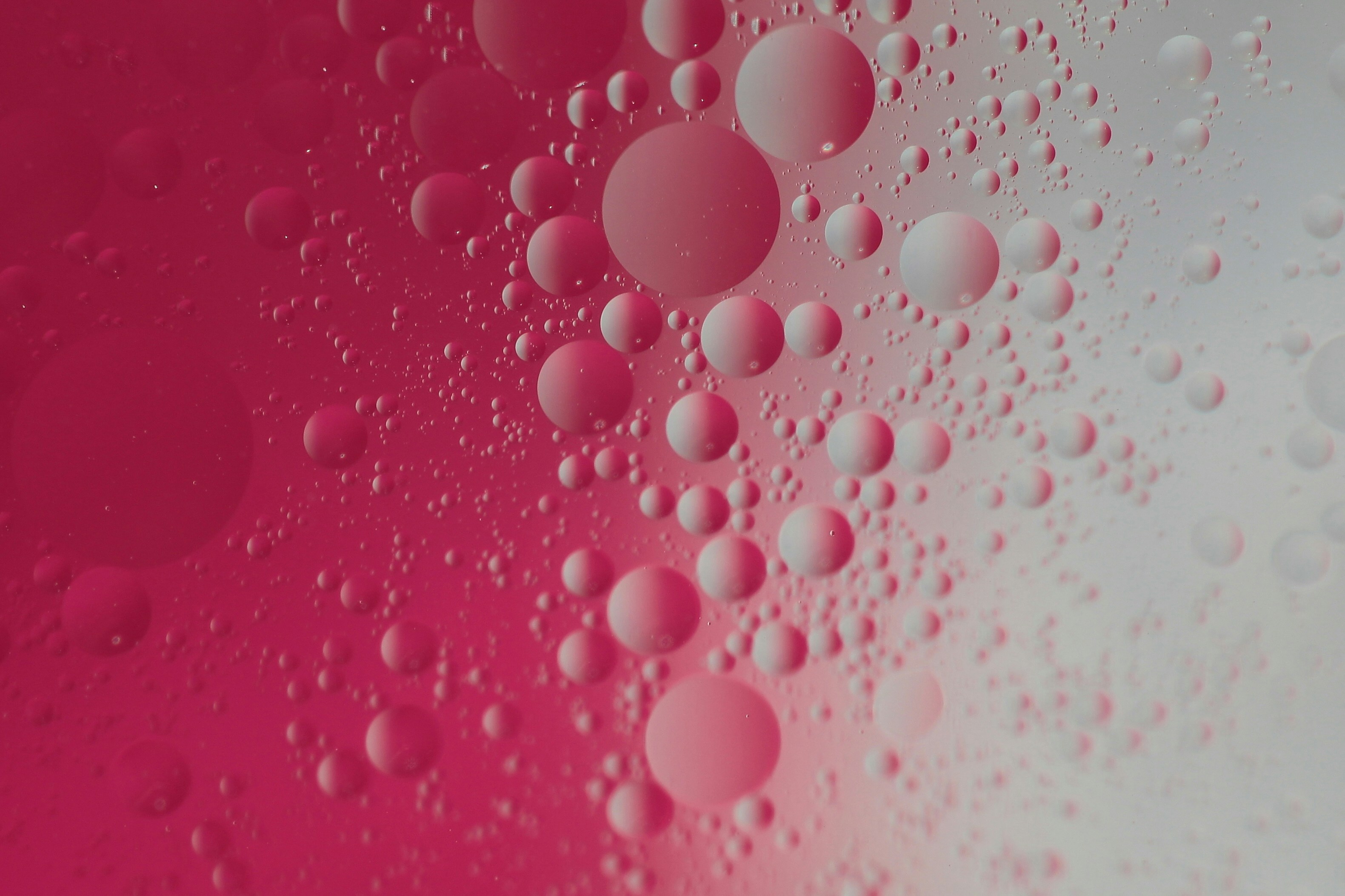 Photo by <a href="https://unsplash.com/@eli_from_prague?utm_source=unsplash&utm_medium=referral&utm_content=creditCopyText">Eliška Motisová</a> on <a href="https://unsplash.com/photos/red-molecules-illustration-fLfcuCSotJg?utm_source=unsplash&utm_medium=referral&utm_content=creditCopyText">Unsplash</a>