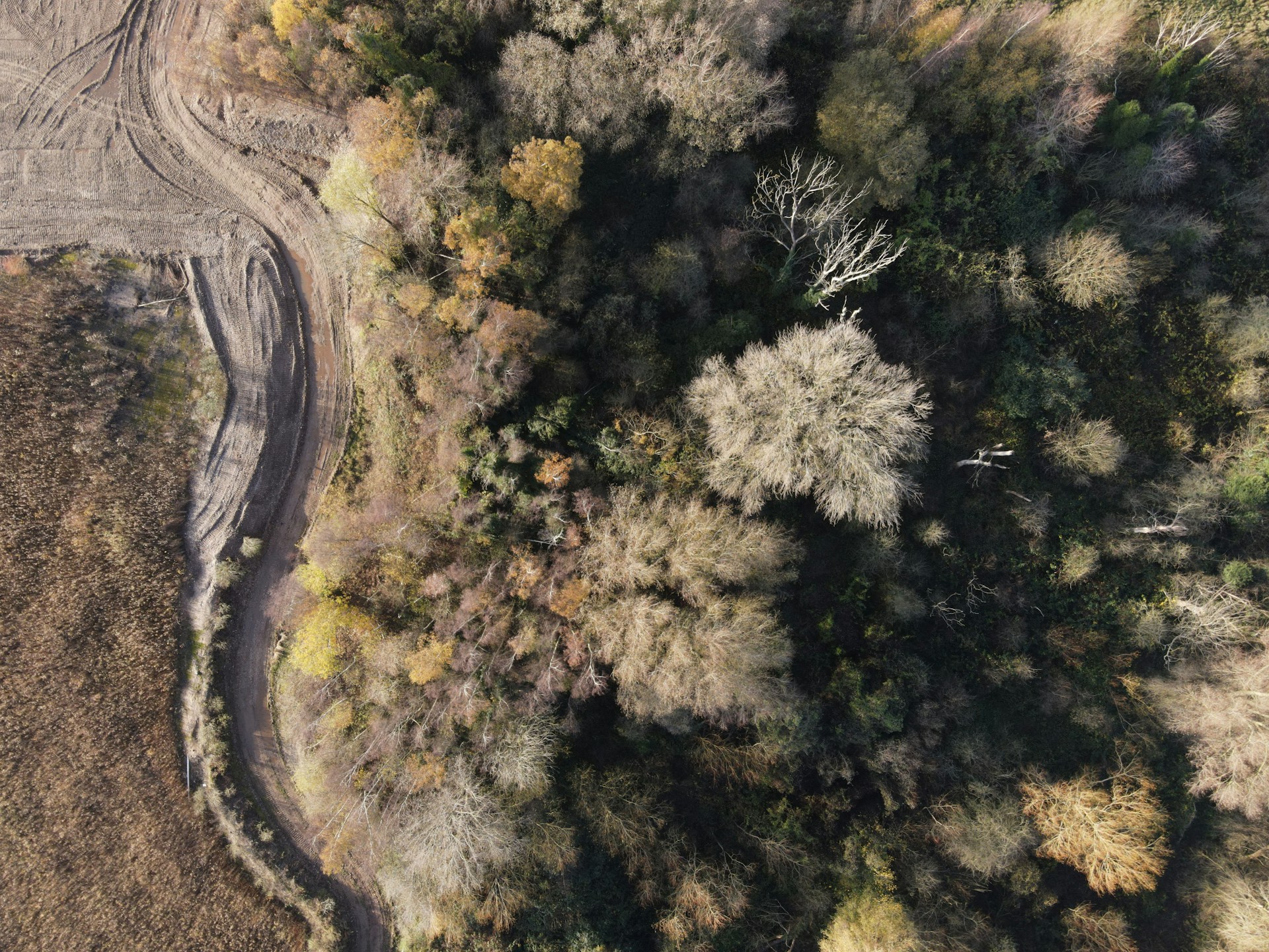 Photo by Grant Ritchie on Unsplash